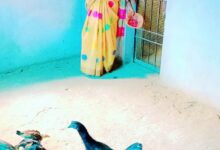 स्व-सहायता समूह से जुड़कर लखपति दीदी बनी कांतिबाई