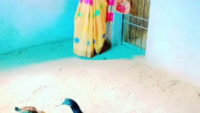 स्व-सहायता समूह से जुड़कर लखपति दीदी बनी कांतिबाई