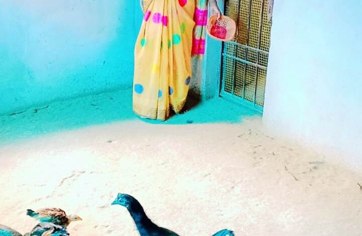 स्व-सहायता समूह से जुड़कर लखपति दीदी बनी कांतिबाई