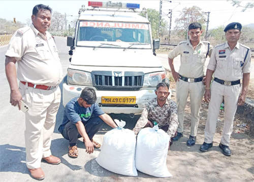 बोलेरो एम्बुलेंस से 10 लाख के गांजा ला रहे महाराष्ट्र के दो तस्कर गिरफ्तार बोलेरो एम्बुलेंस से 10 लाख के गांजा ला रहे महाराष्ट्र के दो तस्कर गिरफ्तार