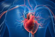 जिला स्तरीय हृदय जांच शिविर में 172 बच्चों की स्क्रीनिंग, 30 में हृदय रोग के लक्षण चिन्हित-नि:शुल्क सर्जरी होगी