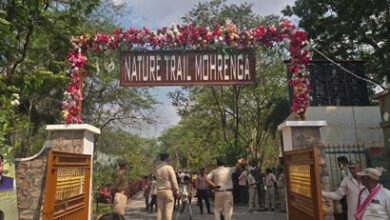 प्रकृति की गोद में रोमांच- मोहरेंगा नेचर सफारी में जिप्सी सफारी और कॉटेज सुविधा शुरू