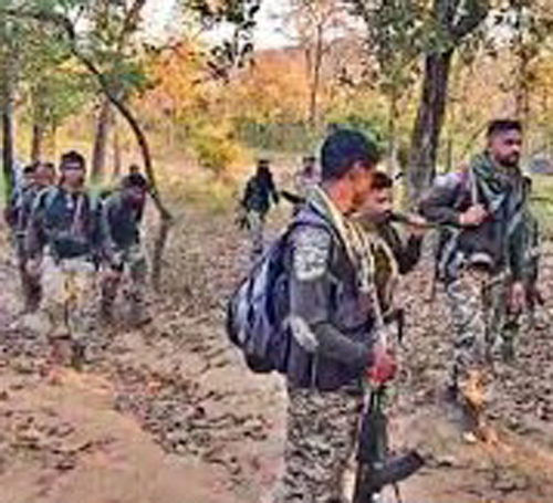 सुकमा मुठभेड़ में 5 लाख का ईनामी नक्सली कमांडर मूचाकी कैलाश ढेर सुकमा मुठभेड़ में 5 लाख का ईनामी नक्सली कमांडर मूचाकी कैलाश ढेर