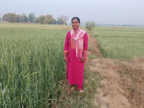 रसायन मुक्त खेती से अनिमा खेस्स ने रची नई इबारत, बनीं अन्य किसानों के लिए प्रेरणा