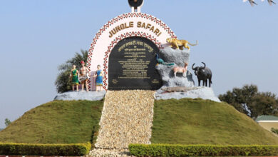 होली पर तीन दिन बंद रहेगी जंगल सफारी