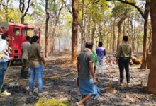 नारंगी वन परिक्षेत्र के जंगल में लगी आग, पहली बार जंगल पंहुचा दमकल वाहन