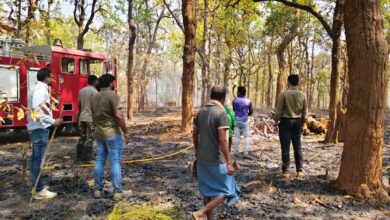 नारंगी वन परिक्षेत्र के जंगल में लगी आग, पहली बार जंगल पंहुचा दमकल वाहन