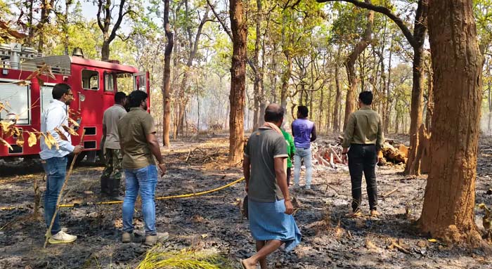 नारंगी वन परिक्षेत्र के जंगल में लगी आग, पहली बार जंगल पंहुचा दमकल वाहन