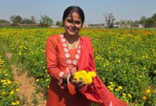 बिहान योजना से खिला रत्ना का भविष्य- फूलों की खेती से बनीं सफल उद्यमी