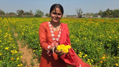 बिहान योजना से खिला रत्ना का भविष्य- फूलों की खेती से बनीं सफल उद्यमी