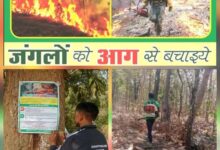 सुकमा वनमंडल ने 112 वन अग्नि प्रहरी नियुक्त किए, हेल्पलाइन नंबर 7587016212 जारी