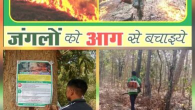 सुकमा वनमंडल ने 112 वन अग्नि प्रहरी नियुक्त किए, हेल्पलाइन नंबर 7587016212 जारी