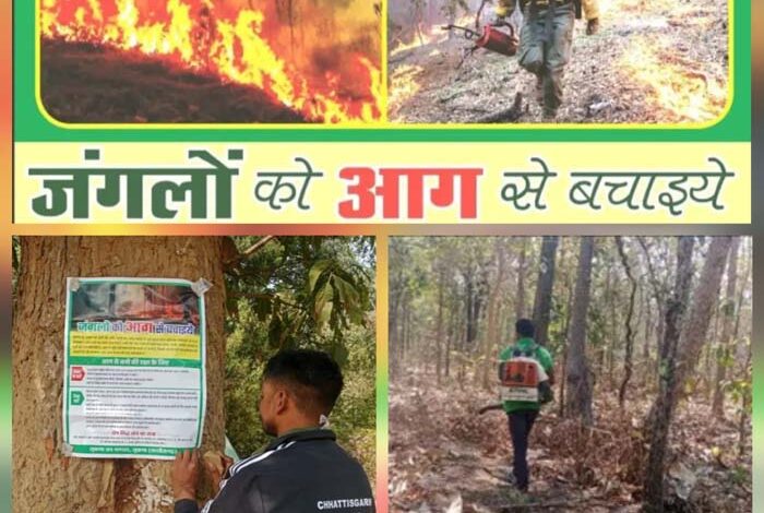 सुकमा वनमंडल ने 112 वन अग्नि प्रहरी नियुक्त किए, हेल्पलाइन नंबर 7587016212 जारी