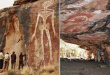 बस्तर की गुफाओं में बने शैल चित्रों का किया जा रहा वैज्ञानिक अध्ययन