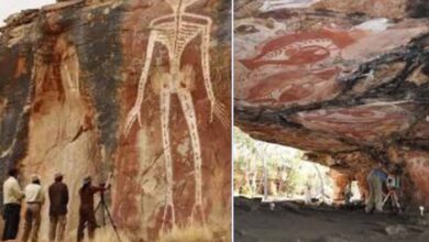 बस्तर की गुफाओं में बने शैल चित्रों का किया जा रहा वैज्ञानिक अध्ययन बस्तर की गुफाओं में बने शैल चित्रों का किया जा रहा वैज्ञानिक अध्ययन