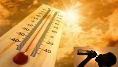 गर्मियों में लू-तापघात से बचाव को लेकर निर्देश जारी, डिप्टी कलेक्टर भेडिय़ा नोडल अधिकारी नियुक्त गर्मियों में लू-तापघात से बचाव को लेकर निर्देश जारी, डिप्टी कलेक्टर भेडिय़ा नोडल अधिकारी नियुक्त