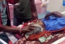 जंगली जानवर के हमले में तीन ग्रामीण घायल