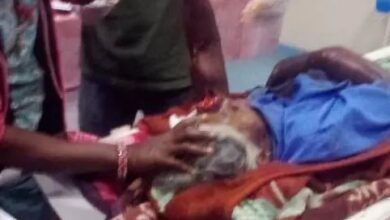 जंगली जानवर के हमले में तीन ग्रामीण घायल