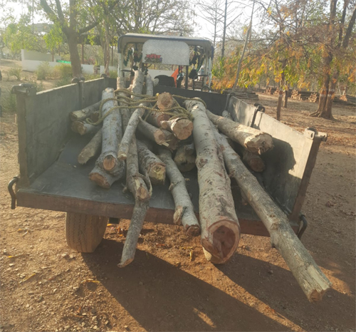 वन तस्करों पर वन विकास निगम की बड़ी कार्रवाई, अवैध लकड़ी से भरा ट्रैक्टर जप्त