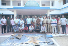 बाघ और तेंदुए के शिकार में शामिल डिप्टी रेंजर सहित 9 आरोपी गिरफ्तार