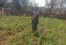 महतारी वंदन योजना से बदली जिंदगी की तस्वीर : सुखी पुनेम बनीं आत्मनिर्भरता और पोषण की मिसाल