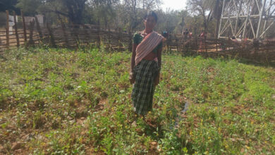 महतारी वंदन योजना से बदली जिंदगी की तस्वीर : सुखी पुनेम बनीं आत्मनिर्भरता और पोषण की मिसाल