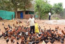 मछली पालन और कृषि से ग्राम पल्ली के किसान पाकलू मरकाम हुए सशक्त