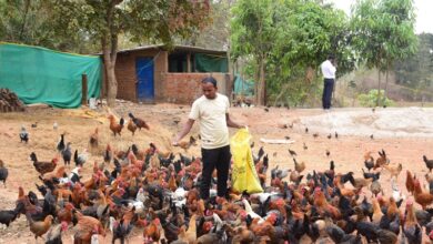 मछली पालन और कृषि से ग्राम पल्ली के किसान पाकलू मरकाम हुए सशक्त