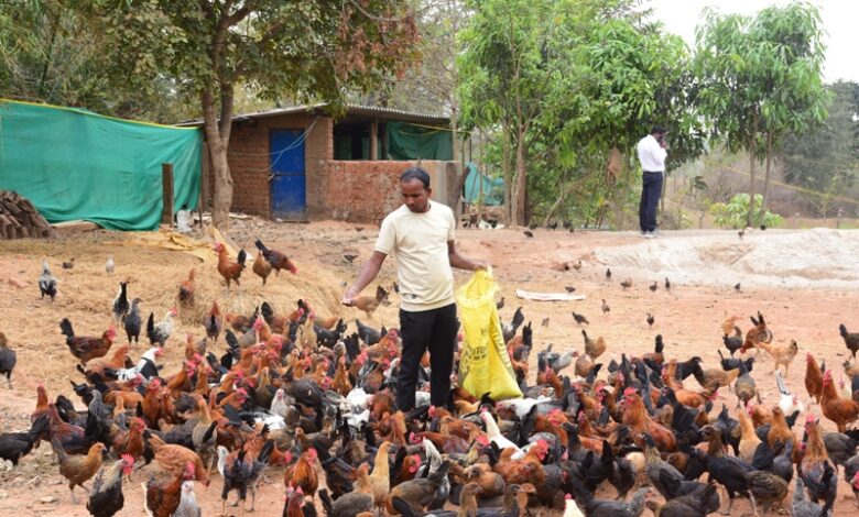 मछली पालन और कृषि से ग्राम पल्ली के किसान पाकलू मरकाम हुए सशक्त