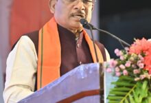 अफीम की अवैध खेती पर मुख्यमंत्री साय का कड़ा रुख, सभी कलेक्टरों को सर्वे कर 15 दिवस में प्रमाण पत्र सहित रिपोर्ट देने के निर्देश