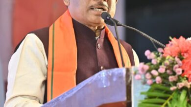 अफीम की अवैध खेती पर मुख्यमंत्री साय का कड़ा रुख, सभी कलेक्टरों को सर्वे कर 15 दिवस में प्रमाण पत्र सहित रिपोर्ट देने के निर्देश