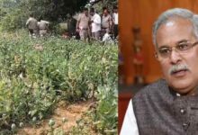 भूपेश बघेल ने भाजपा सरकार पर गंभीर आरोप लगाए