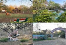 उज्जैन में 300 करोड़ से बनेगा ‘वनतारा’, टाइगर सफारी और नाइट कैंपिंग होगी