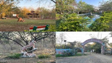 उज्जैन में 300 करोड़ से बनेगा ‘वनतारा’, टाइगर सफारी और नाइट कैंपिंग होगी