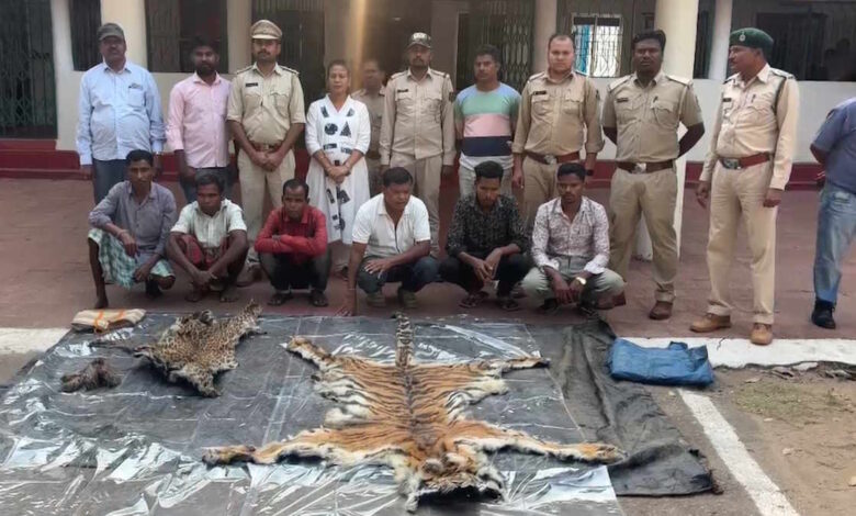 3 साल के बाघ की निर्मम हत्या, खाल बेचने की साजिश में 9 गिरफ्तार