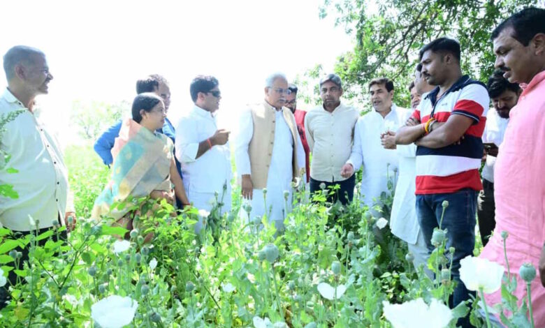 अफीम की खेती को लेकर भूपेश बघेल ने भाजपा किसान मोर्चा पर साधा निशाना