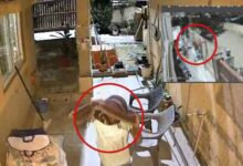 रायपुर में चोरों का नया तरीका घर के आंगन से गैस सिलेंडर चोरी, CCTV में कैद वारदात