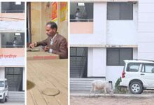 सरकारी आवासों पर अफसरों का कब्जा जारी, एसडीएम आरएस सोरी अब भी वंचित