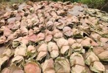 तेन्दूपत्ता संग्राहक हितग्राहियों की सुरक्षा संघ की सर्वाेच्च प्राथमिकता