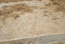 मुख्यमंत्री के नाम से बना विकास की नींव गौरव पथ में घटिया निर्माण, जगह जगह सीसी रोड में दरार, शहर से लगे गांव में भष्ट्राचार