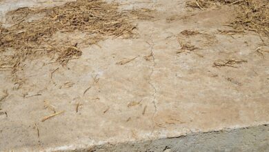 मुख्यमंत्री के नाम से बना विकास की नींव गौरव पथ में घटिया निर्माण, जगह जगह सीसी रोड में दरार, शहर से लगे गांव में भष्ट्राचार