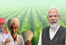 पीएम किसान उत्सव कल, प्रधानमंत्री मोदी छत्तीसगढ़ के 24.71 लाख से अधिक किसानों को अंतरित करेंगे 498.83 करोड़