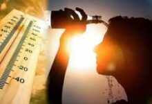 अब दिखा भीषण गर्मी का असर