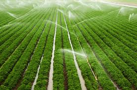 दो सिंचाई योजना के लिए 6.12 करोड़ रुपये स्वीकृत