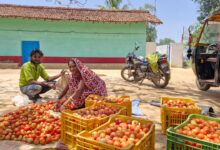 साय सरकार की पहल से सशक्त हुई महिलाएं, हमेश्वरी राठौर बनी लखपति दीदी