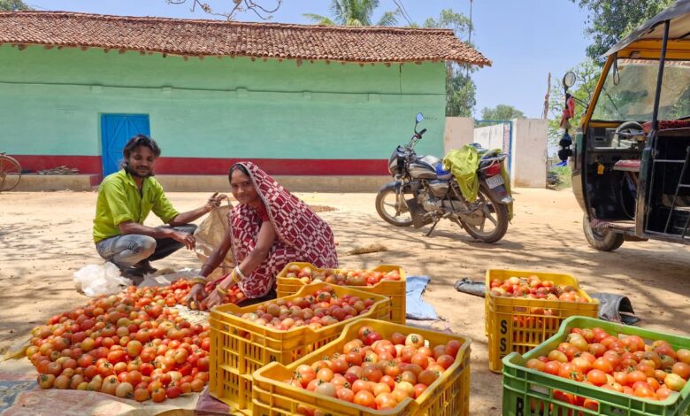 साय सरकार की पहल से सशक्त हुई महिलाएं, हमेश्वरी राठौर बनी लखपति दीदी