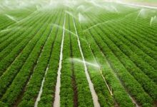 दो सिंचाई योजनाओं के कार्यों के लिए 6.58 करोड़ रूपए स्वीकृत