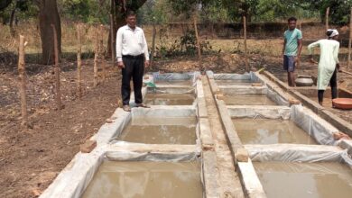 शासकीय फार्म में नील-हरित काई उत्पादन की शुरुआत, किसानों को मिलेगा सस्ता जैव उर्वरक