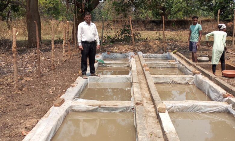 शासकीय फार्म में नील-हरित काई उत्पादन की शुरुआत, किसानों को मिलेगा सस्ता जैव उर्वरक शासकीय फार्म में नील-हरित काई उत्पादन की शुरुआत, किसानों को मिलेगा सस्ता जैव उर्वरक