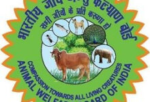 भीषण गर्मी में पशुओं को लू से बचाएं, जीव जन्तु कल्याण बोर्ड ने जारी की एडवाइजरी